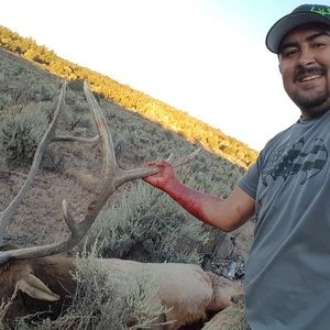 Meet your Posher, Adolfo